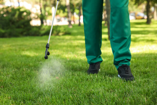 Best Pest Removal Services  in Mcguire Af, NJ