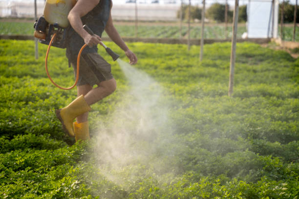 Best Pest Control Treatment  in Mcguire Af, NJ