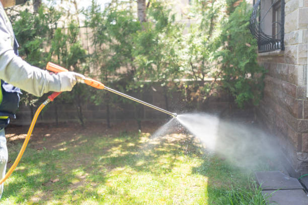 Best Spider Control Near Me  in Mcguire Af, NJ