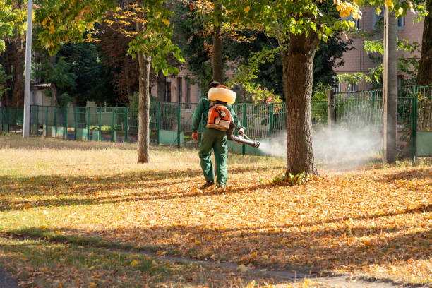 Best Affordable Pest Control Services  in Mcguire Af, NJ