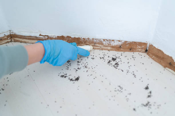 Best Mosquito Control Services  in Mcguire Af, NJ